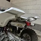 اللبيع دبات امريكيه بدون الهدرز