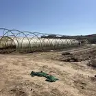 بيوت محميه اردني