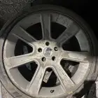 جنوط سالين موستينج - saleen