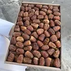 تمر جالكسي فااخر