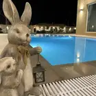 استراحة فاخرة للايجار بالعمارية