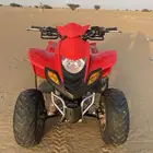 دباب تايواني مقاس 100 للبيع