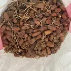 تمر حلال