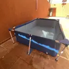 مسبح