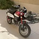 دباب هوندا مونكي