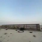 صندقة دجاج كبيره