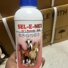 vitamin e selenium 25