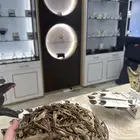 عود مروكي