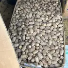 تمر جسب بديره فاخر للبيع جدة