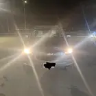 بليزر 2014