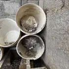 حمام بلدي للبيع