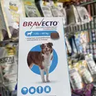 برافيكتو كلاب