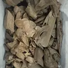 نوادر المروكي ( أندر ووتر ) غطاس   من المقتنيات