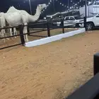 القحاه 10شهر سنه ثني في طويق ناقه
