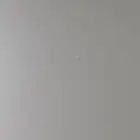 طيور للتبني الي عنده طيور للتبني يكلمني