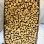 تمر المدينه (بياض)