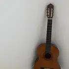 جنوط كرولا