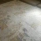 سجاد