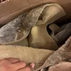 فرشة كراون فكتوريا 2011 هلوز نظيفة