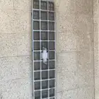 شبك بهبهاني شعر 79