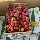 تمر