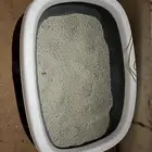 مستلزمات قطط