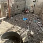 بيع ديكين وثلاث دجاج