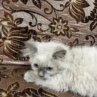مكه