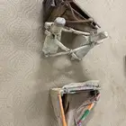 عرض نوادر من التوارث