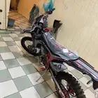 دباب صحراوي