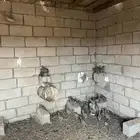 حجل منتج عدده من 60 وحول