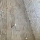 مبلط