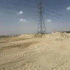 كوم بطحاء 369 رد