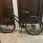 سيكل إندنوسي