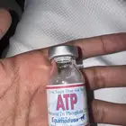 منشط خيل
