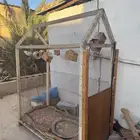 للبيع شبك طيور الحب