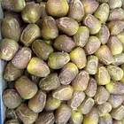 رطب جلكسي تمر سكري