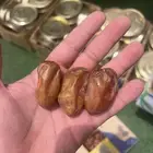 تمور بيشة