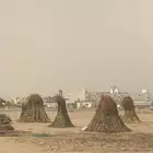 للبيع علف مزارع جديد