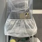 عصافير كروان (رجال) مع القفص