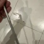 انتل صدام مرسيدس شعار مواكب بنز