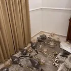 لمبات انارة
