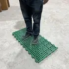 ارضيات اغنام