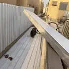 مضلات سيند وي  شينكو كماشpvc  لكسان