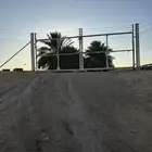 شبوك سياج