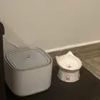 اغراض قطوه