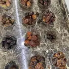 تمور فاخرة