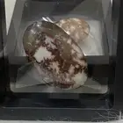 أحجار فيروز سيناوي بيور