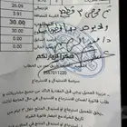 قطط