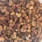 تمر ( علف للبيع )